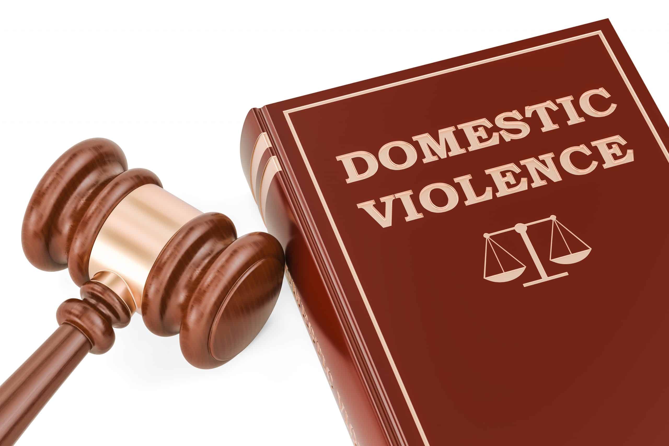 Domestic Violence Arrest
